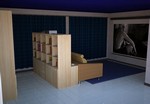 Home theatre in Canton Ticino